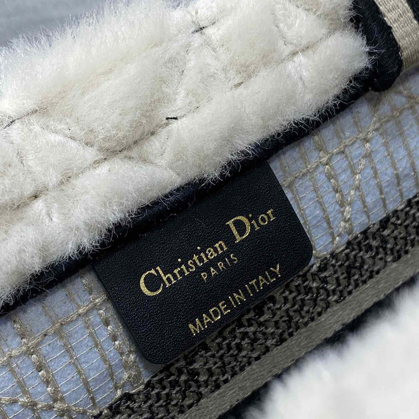 Dior Small Dior Book Tote - PerfectKickZ