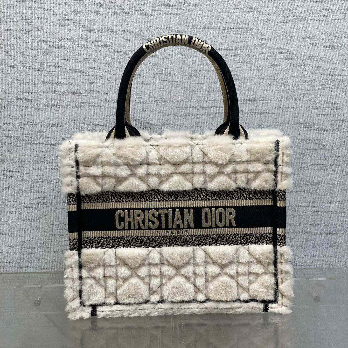 Dior Small Dior Book Tote - PerfectKickZ