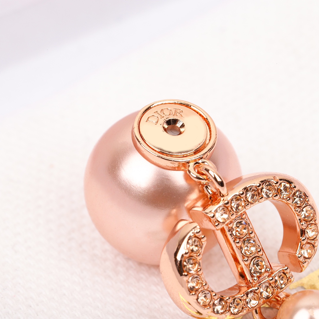 Dior Tribales Earrings - PerfectKickZ