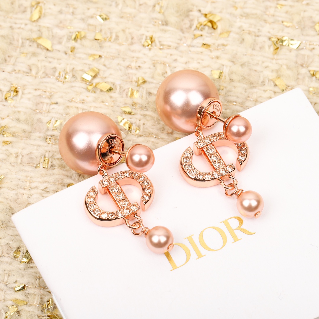 Dior Tribales Earrings - PerfectKickZ