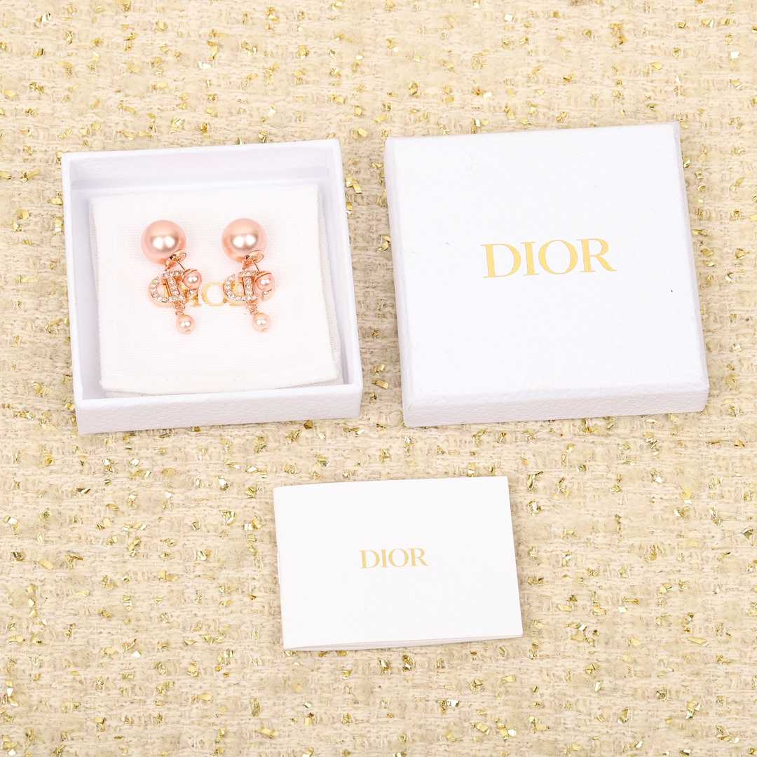 Dior Tribales Earrings - PerfectKickZ