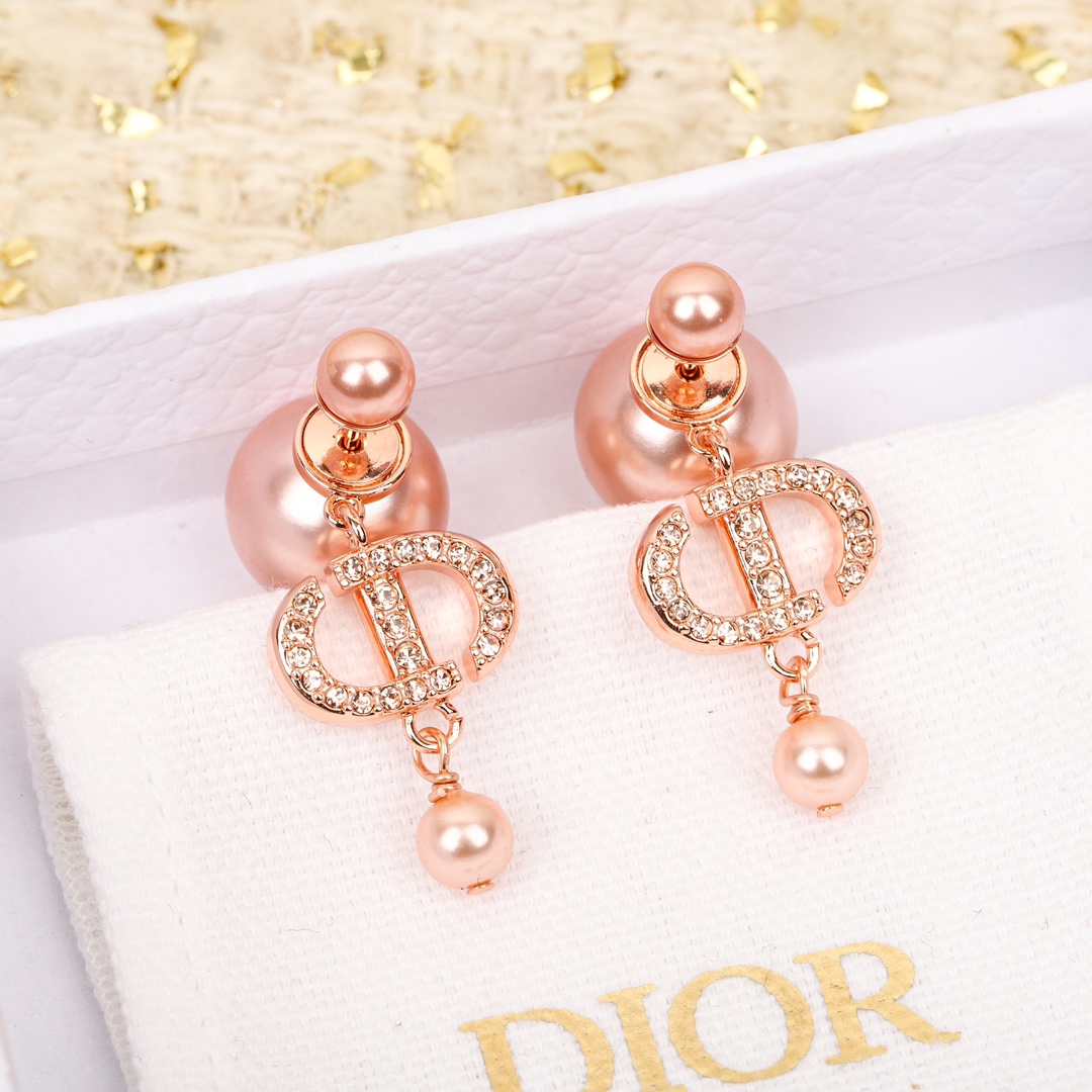 Dior Tribales Earrings - PerfectKickZ