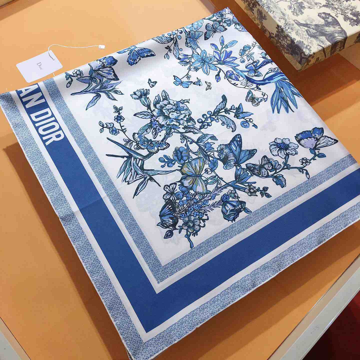Dior Toile De Jouy Mexico 90 Square Scarf - 
