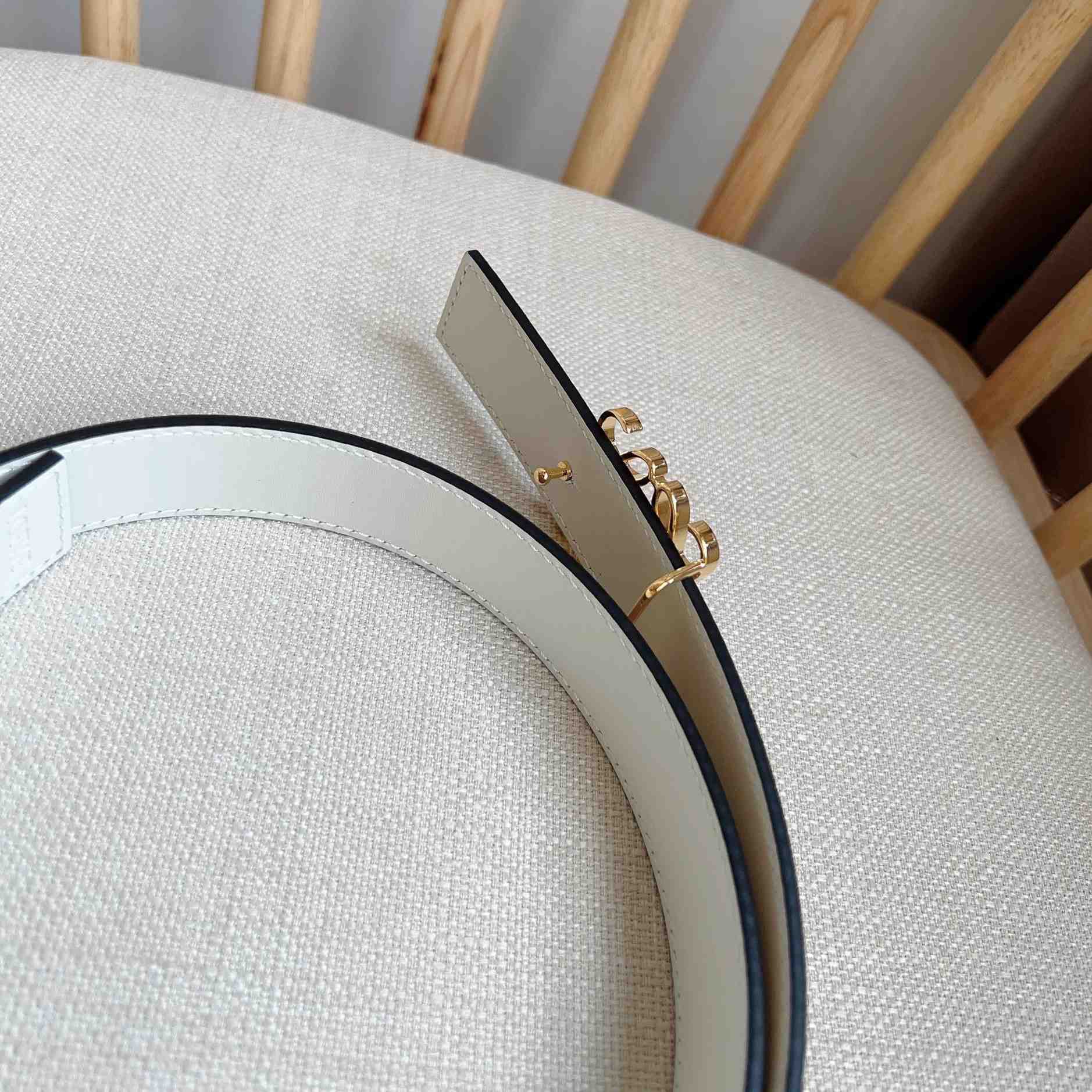 Loewe Reversible Anagram Belt In Smooth Calfskin - 