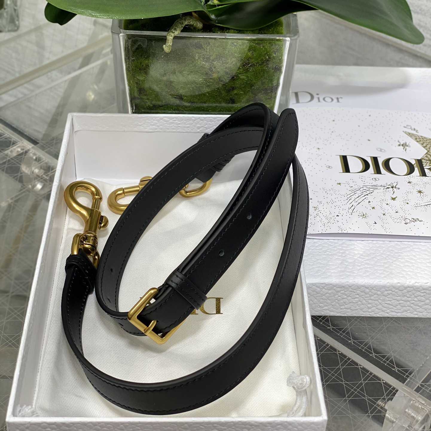 Dior Saddle Bag With Strap  (24×6×18cm) - PerfectKickZ