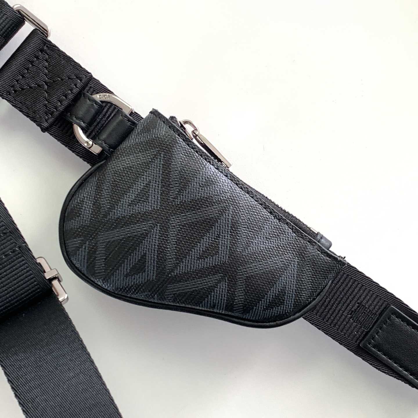 Dior Saddle Triple Pouch     - 