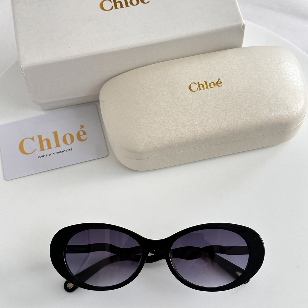 Chloe Eyewear Oval Frame Sunglasses   CH0088S - PerfectKickZ
