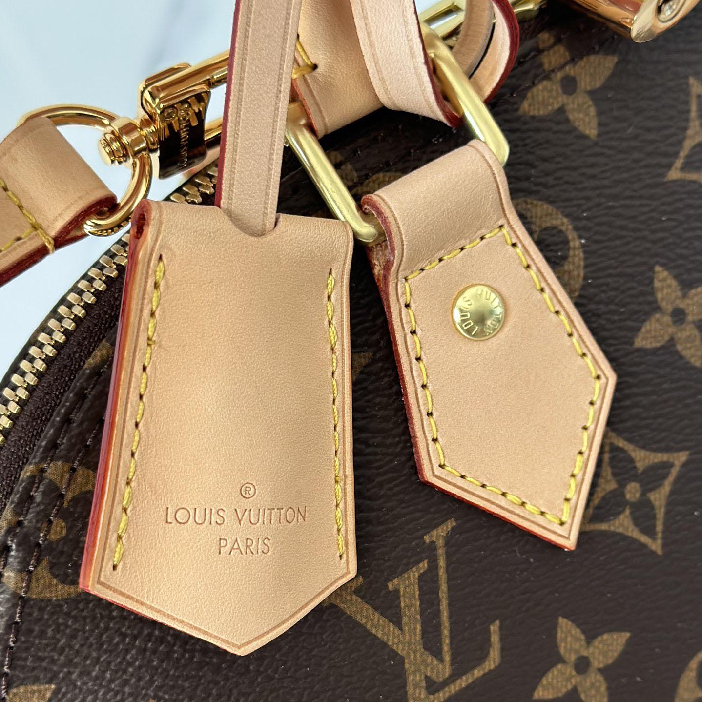 Louis Vuitton Alma PM     M53151 - PerfectKickZ
