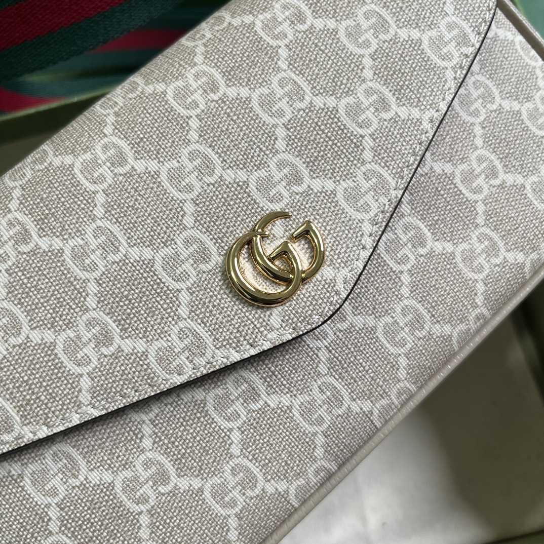 Gucci Ophidia Mini Bag  - 