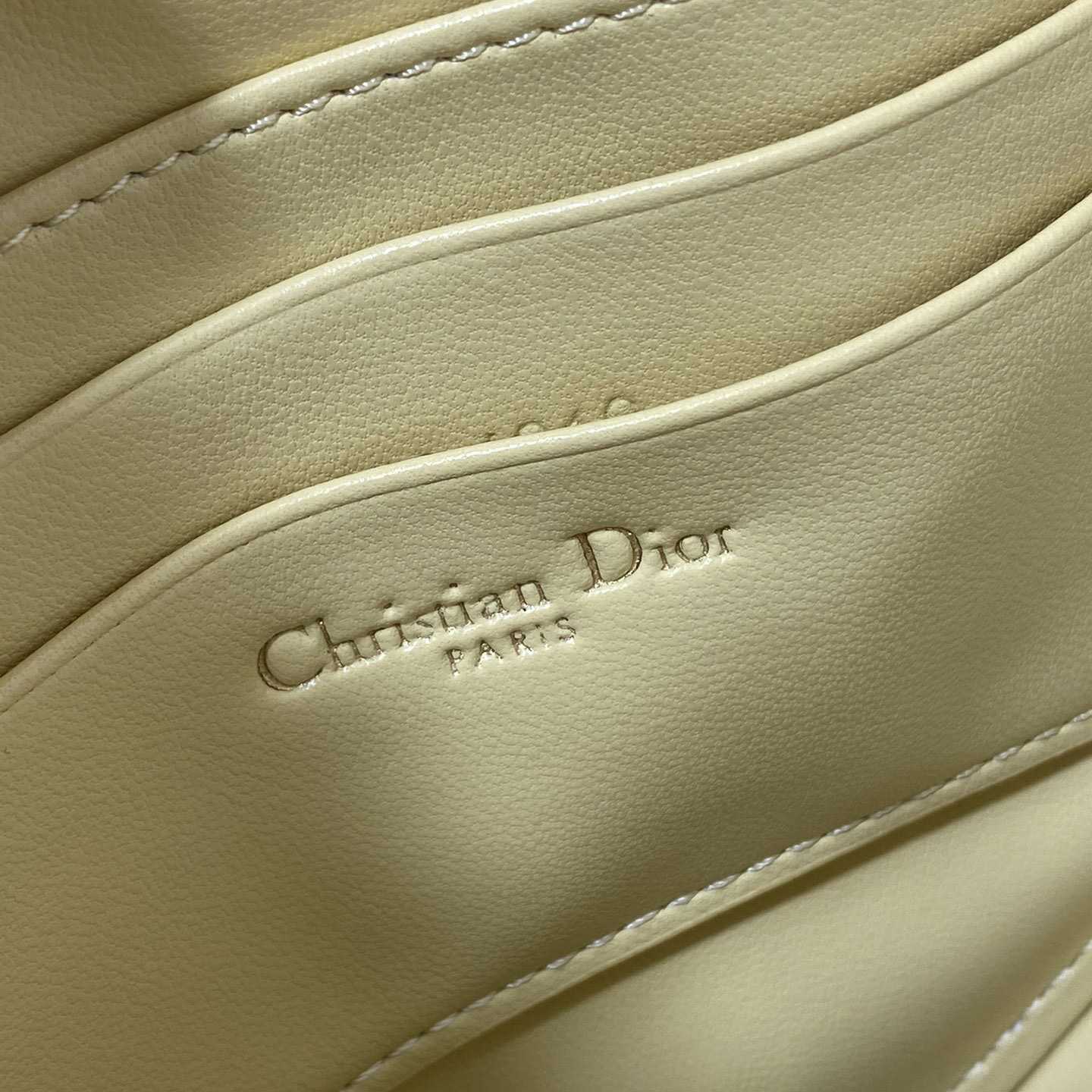 Dior Saddle Shoulder Pouch - PerfectKickZ