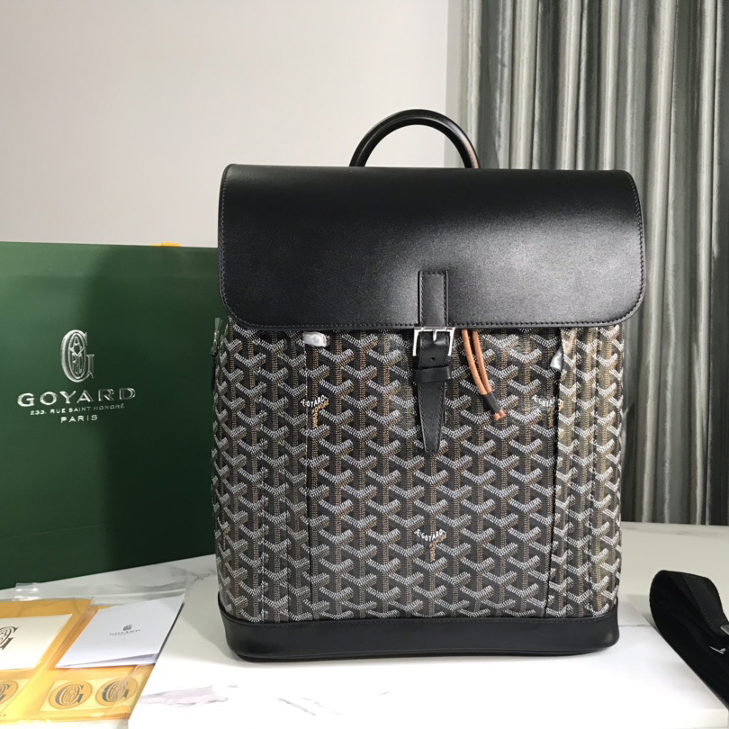 Goyard Alpin MM Backpack - PerfectKickZ