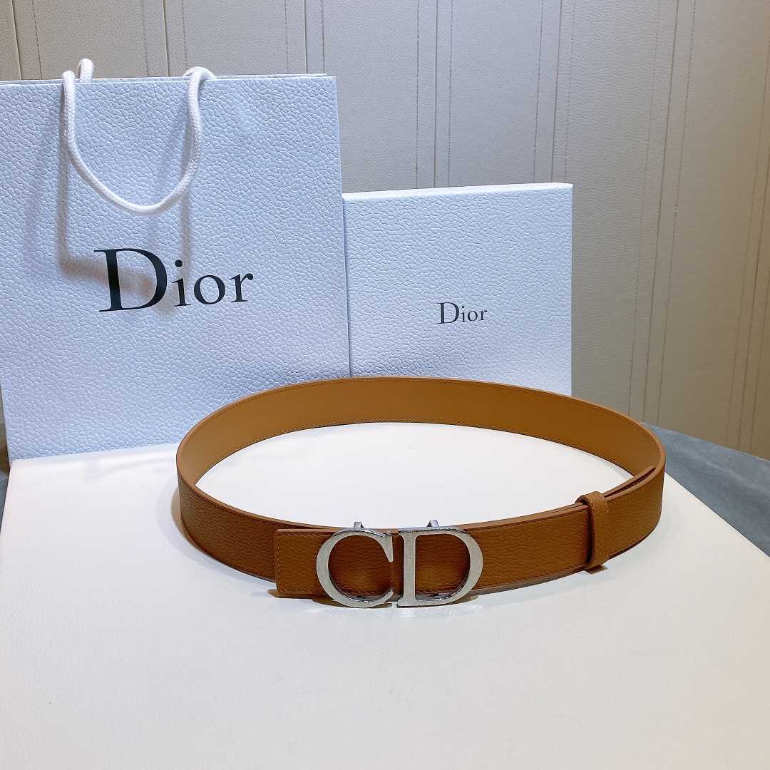 Dior Reversible Saddle Belt - PerfectKickZ