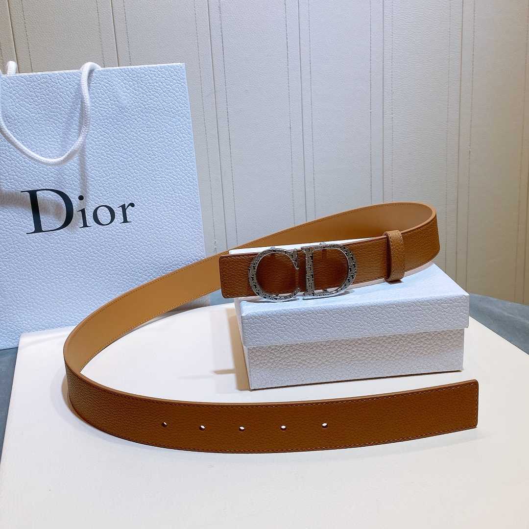 Dior Reversible Saddle Belt - PerfectKickZ