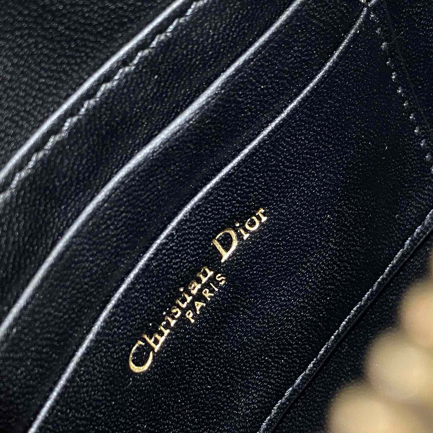 Dior Saddle Shoulder Pouch - PerfectKickZ