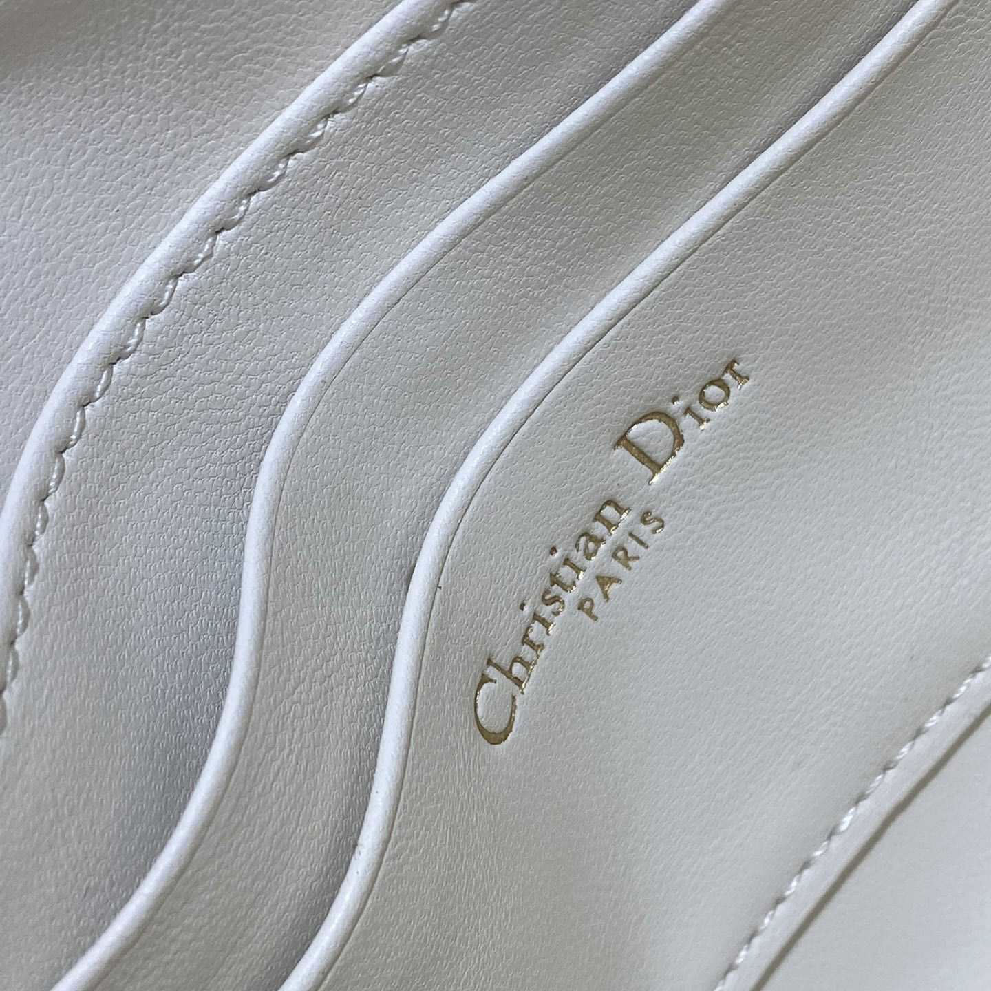 Dior Saddle Shoulder Pouch - PerfectKickZ