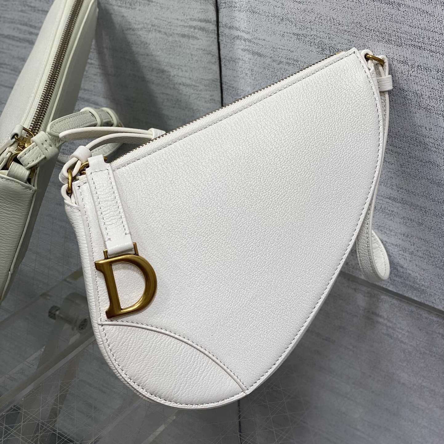 Dior Saddle Shoulder Pouch - PerfectKickZ