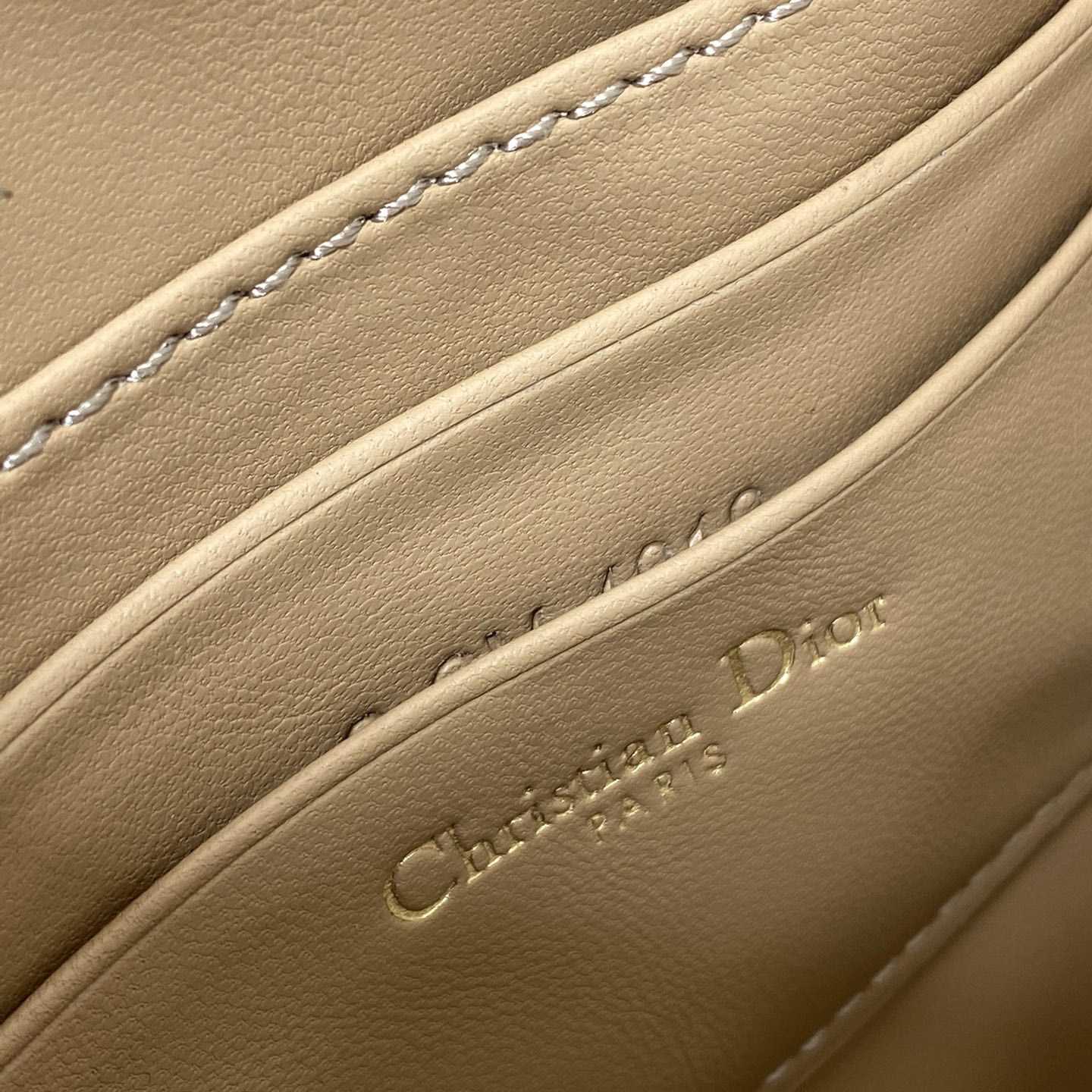 Dior Saddle Shoulder Pouch - 
