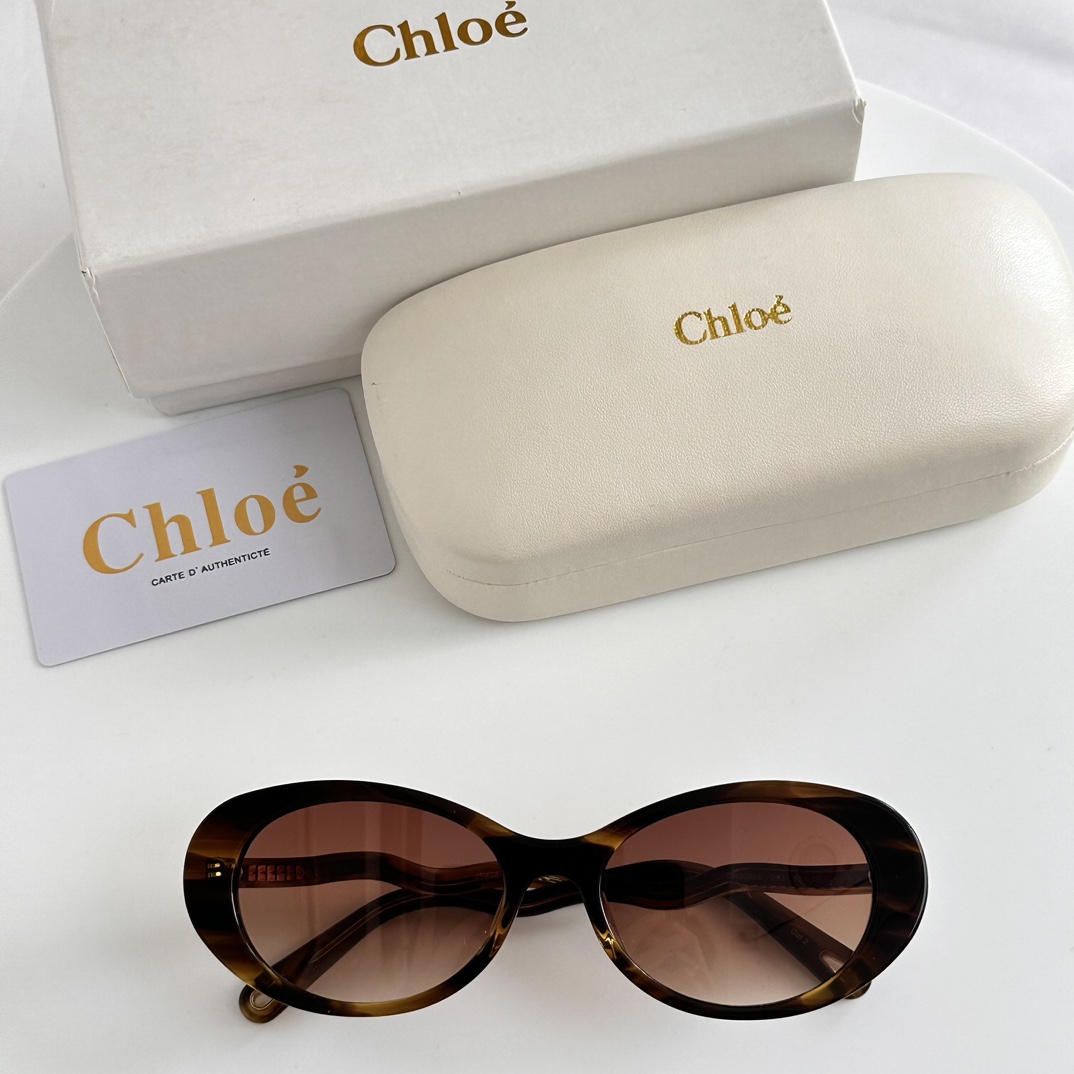 Chloe Eyewear Oval Frame Sunglasses   CH0088S - PerfectKickZ
