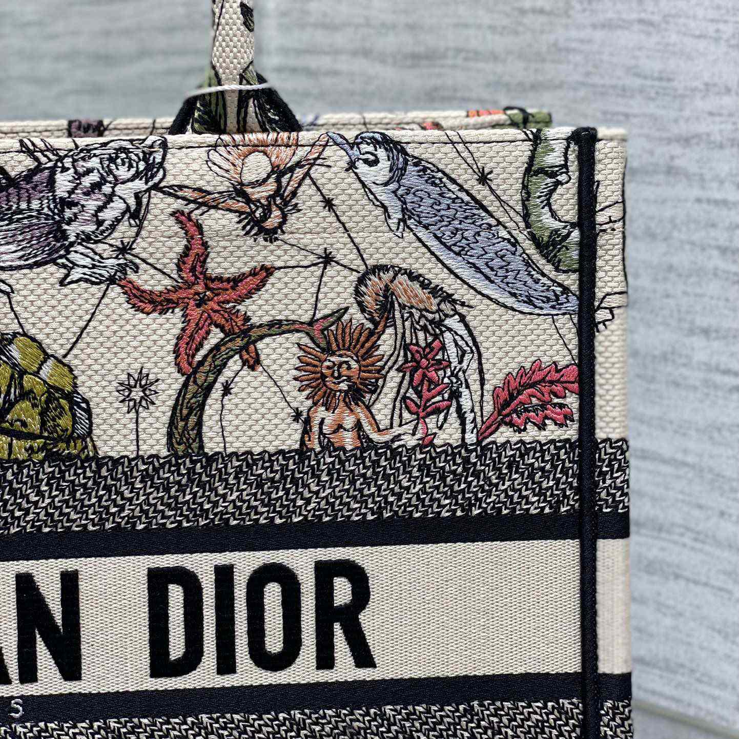 Dior Medium Dior Book Tote - PerfectKickZ
