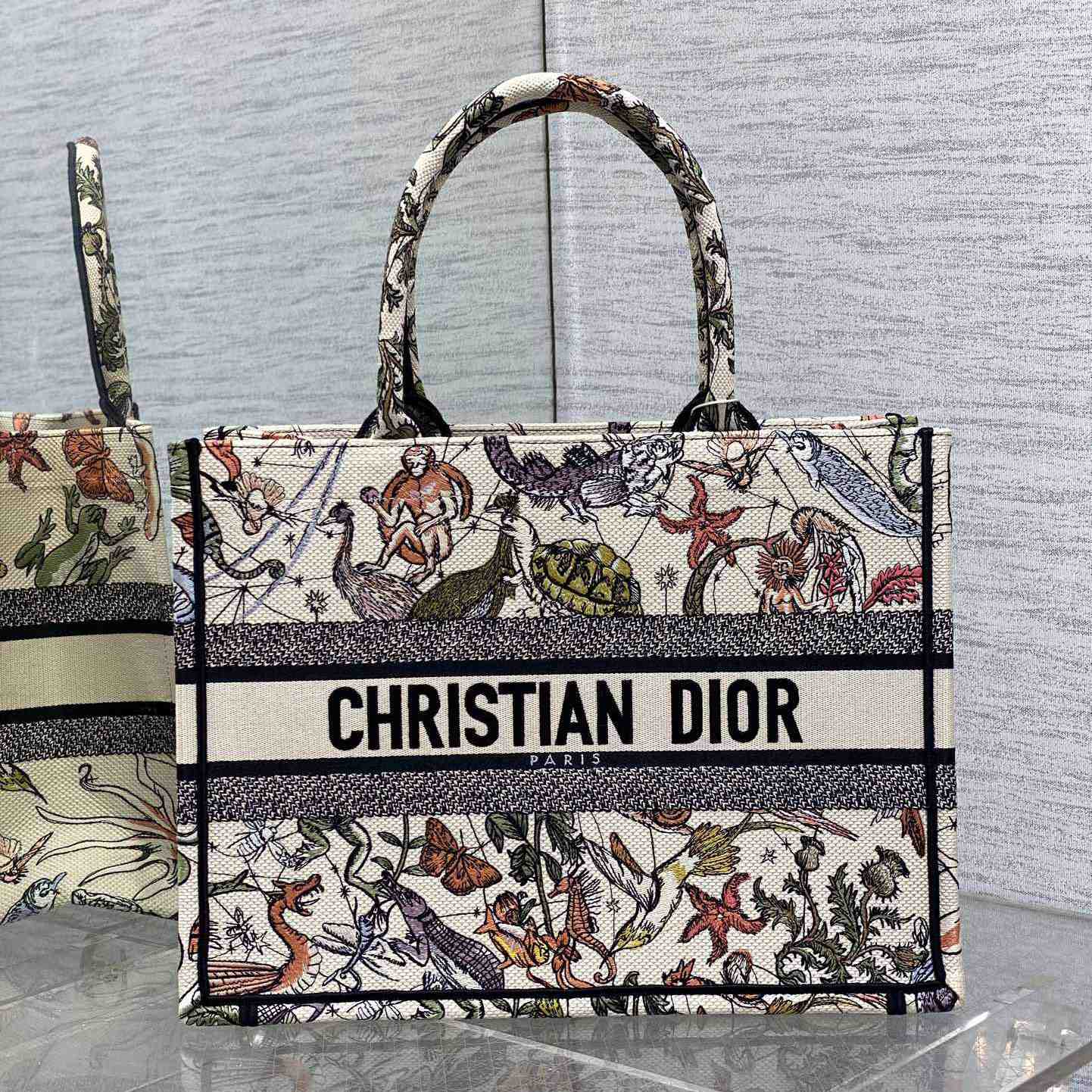 Dior Medium Dior Book Tote - PerfectKickZ