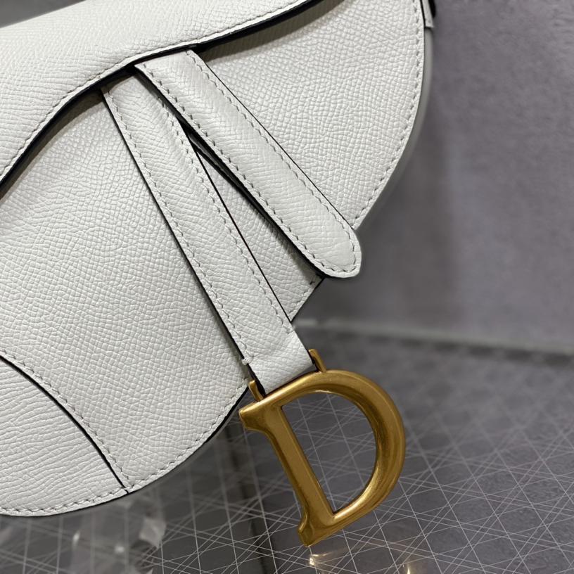 Dior Saddle Bag    19.5cm - PerfectKickZ