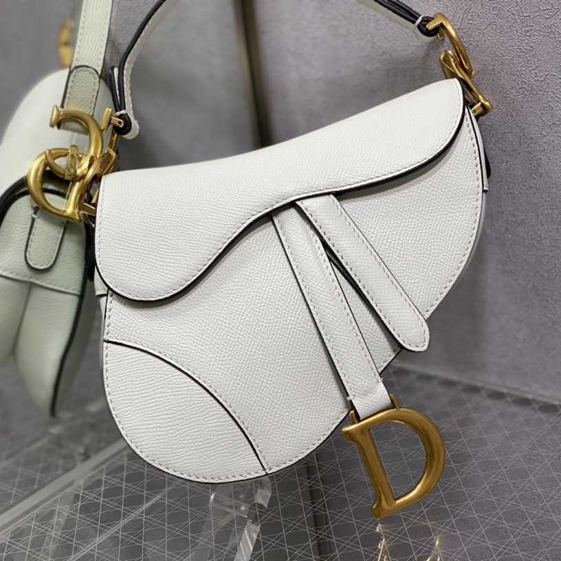 Dior Saddle Bag    19.5cm - PerfectKickZ