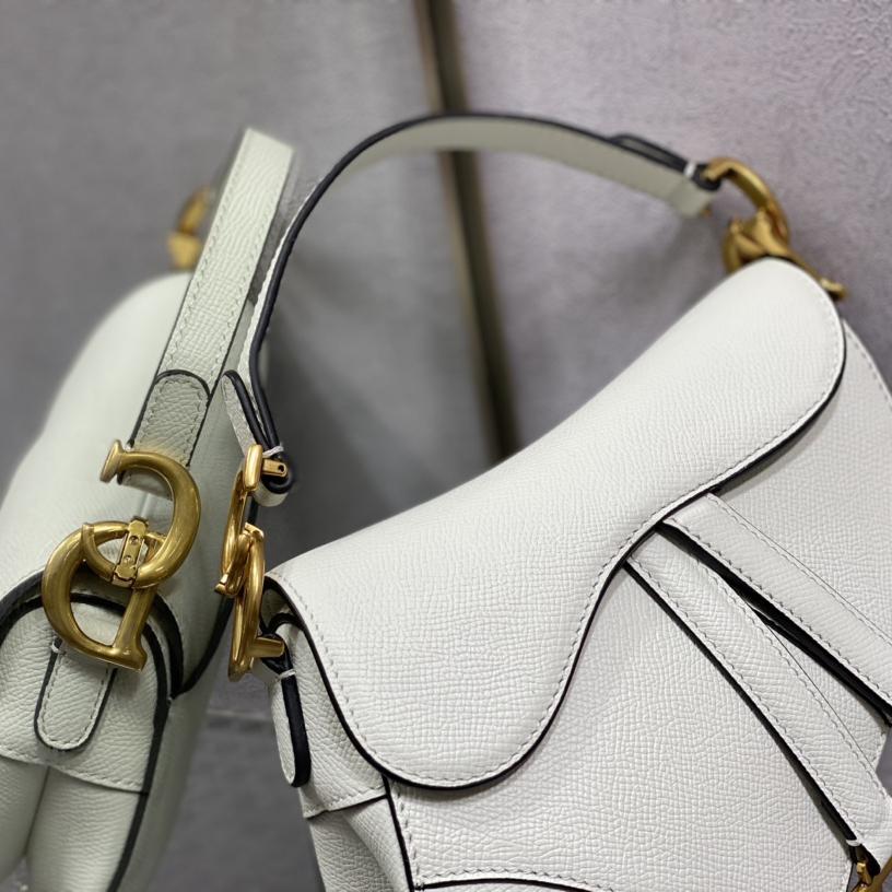 Dior Saddle Bag    19.5cm - PerfectKickZ