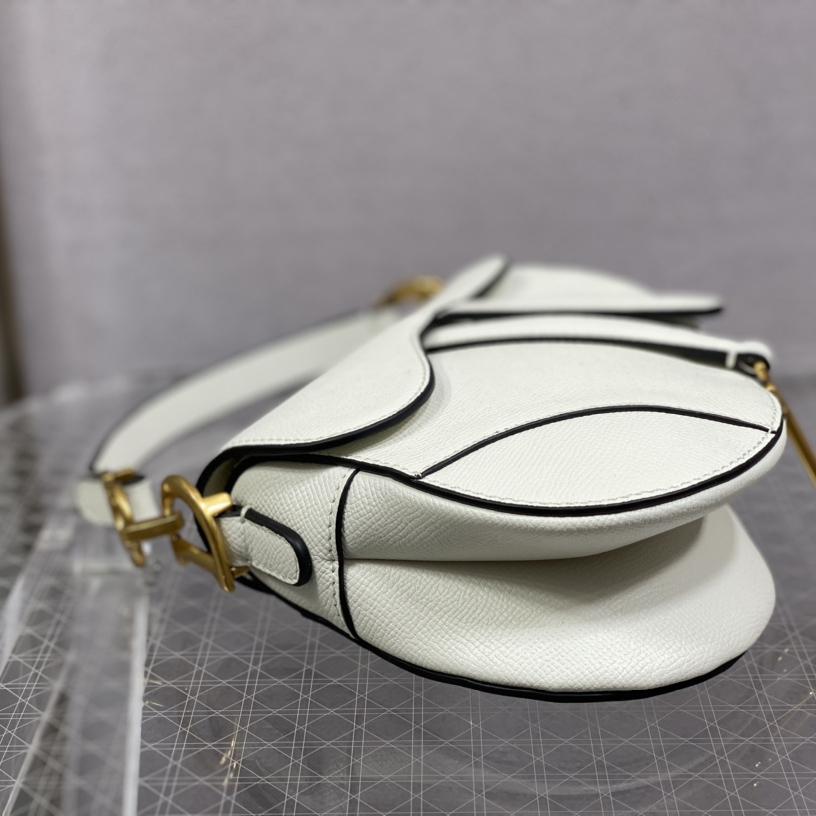 Dior Saddle Bag    19.5cm - PerfectKickZ