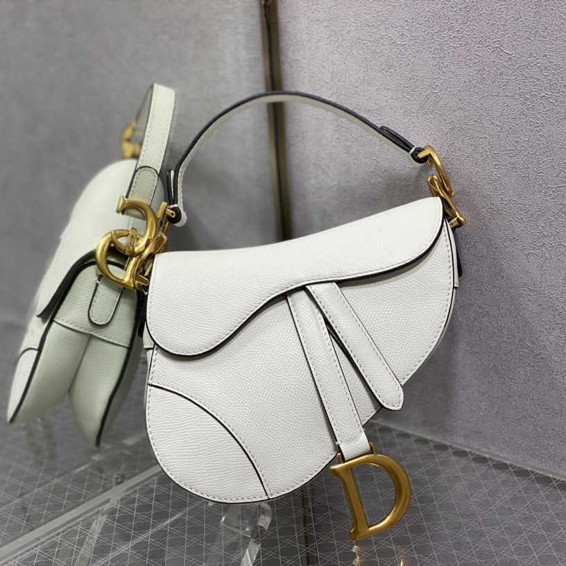 Dior Saddle Bag    19.5cm - PerfectKickZ