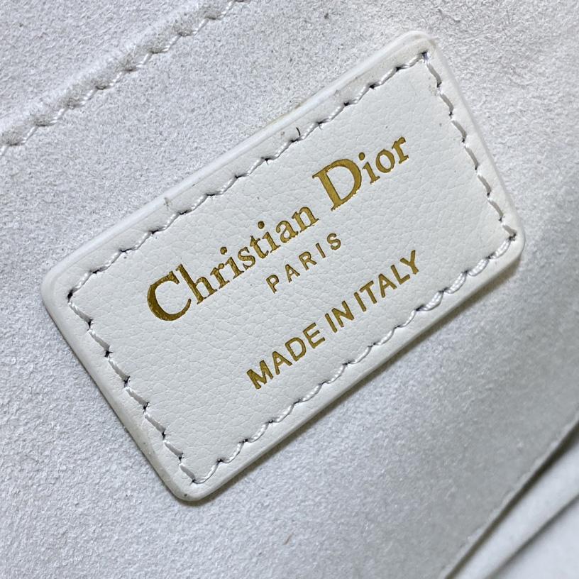 Dior Small Dior Caro Top Handle Camera Bag - PerfectKickZ