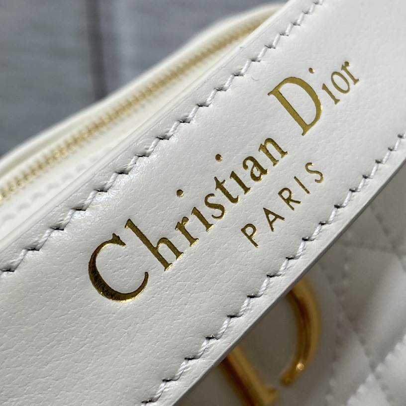 Dior Small Dior Caro Top Handle Camera Bag - PerfectKickZ