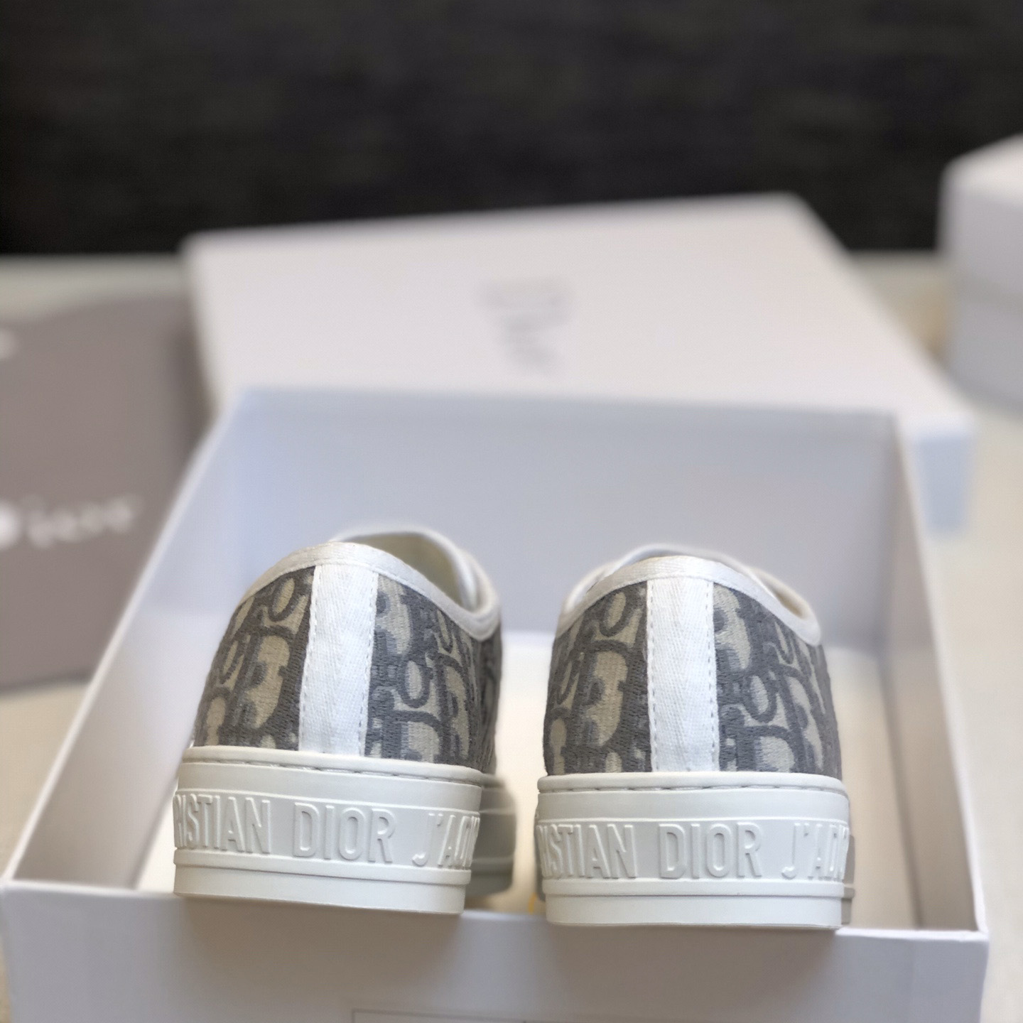 Dior Walk'n'Dior Platform Sneaker - PerfectKickZ