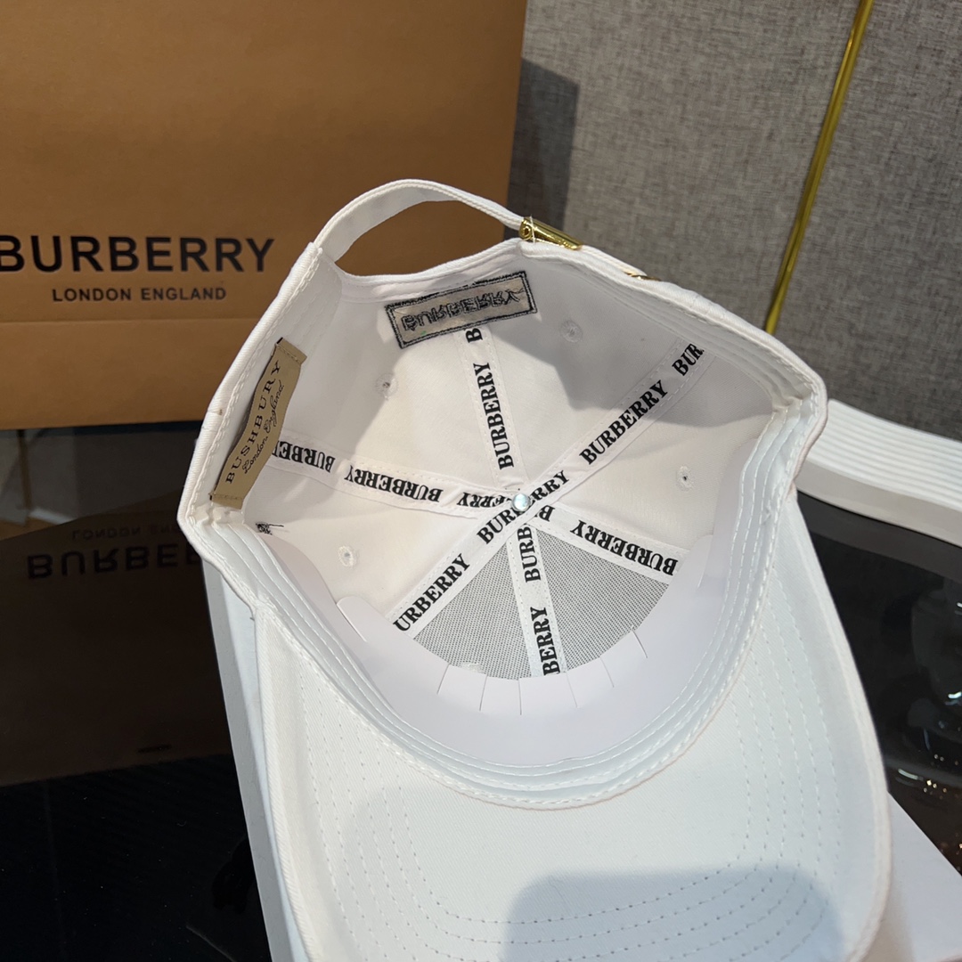 Burberry Cap - PerfectKickZ