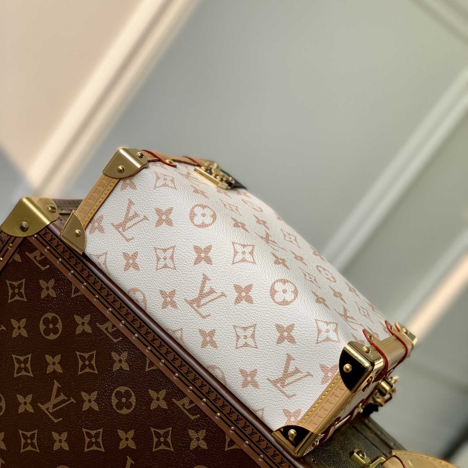 Louis Vuitton Side Trunk MM   M46907 - PerfectKickZ