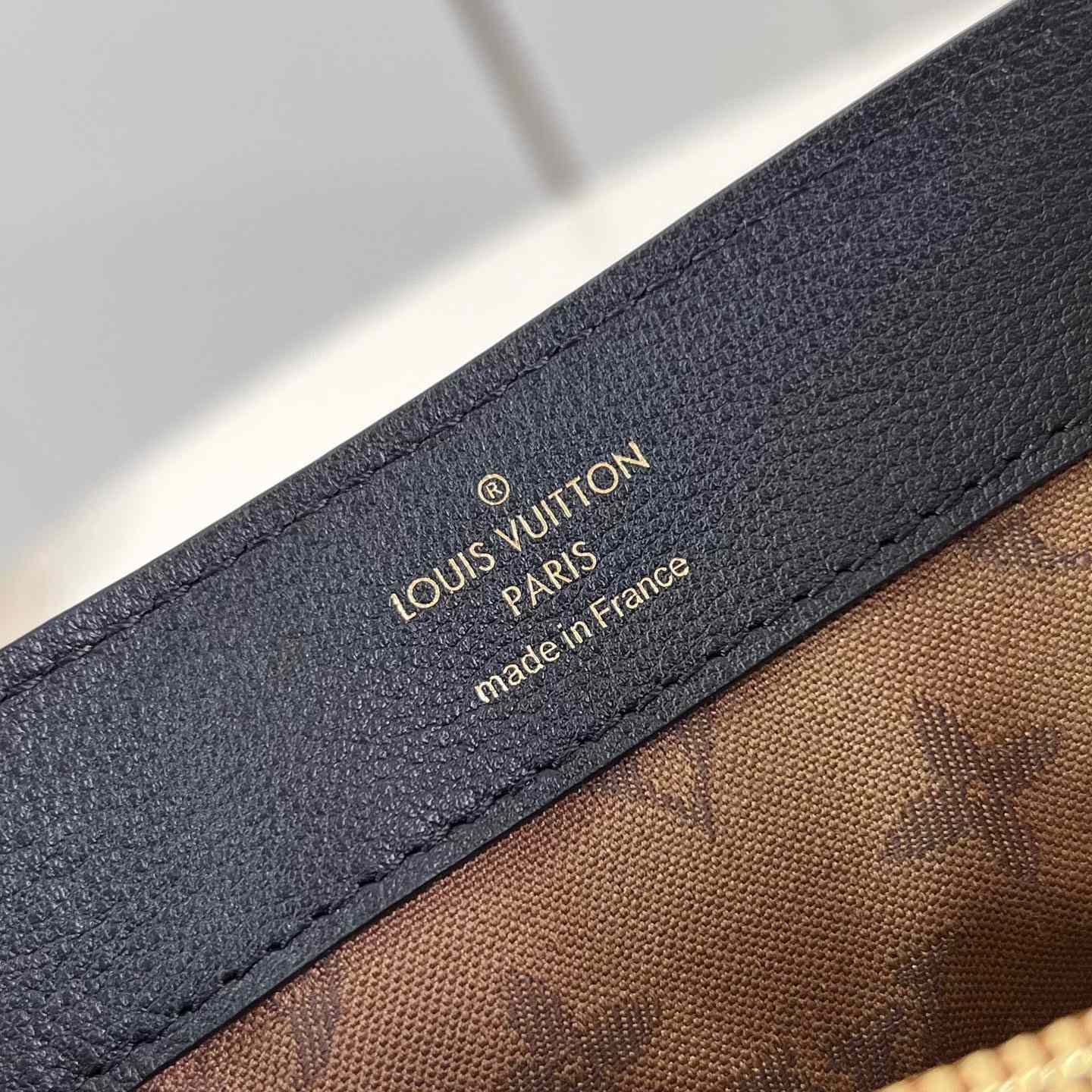 Louis Vuitton Dauphine Soft MM   M25209 - PerfectKickZ
