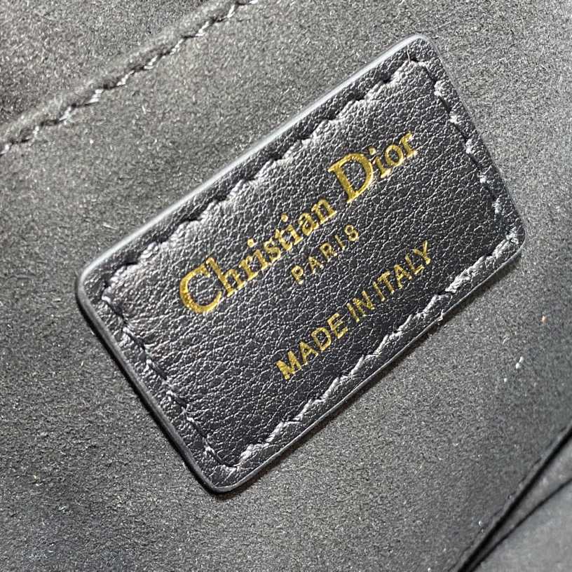 Dior Small Dior Caro Top Handle Camera Bag - PerfectKickZ