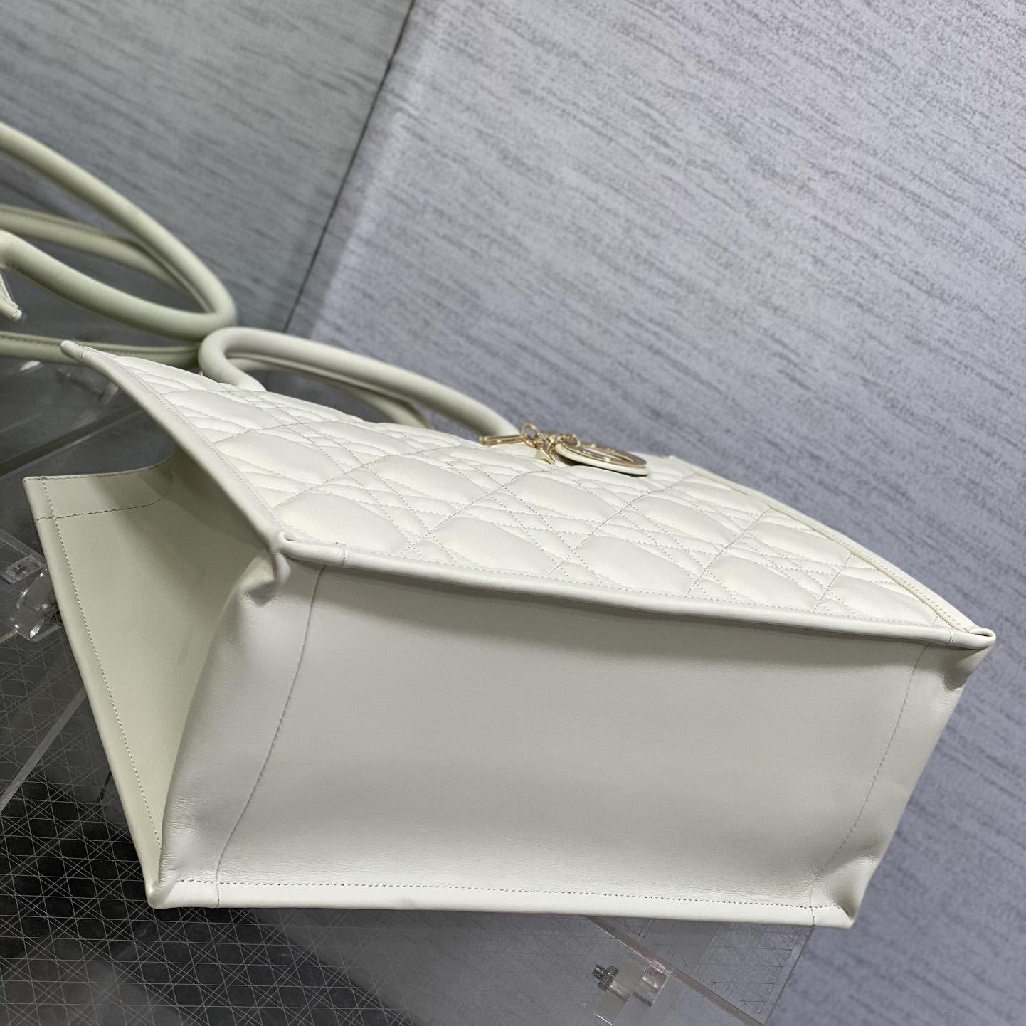 Dior Medium Dior Book Tote - PerfectKickZ