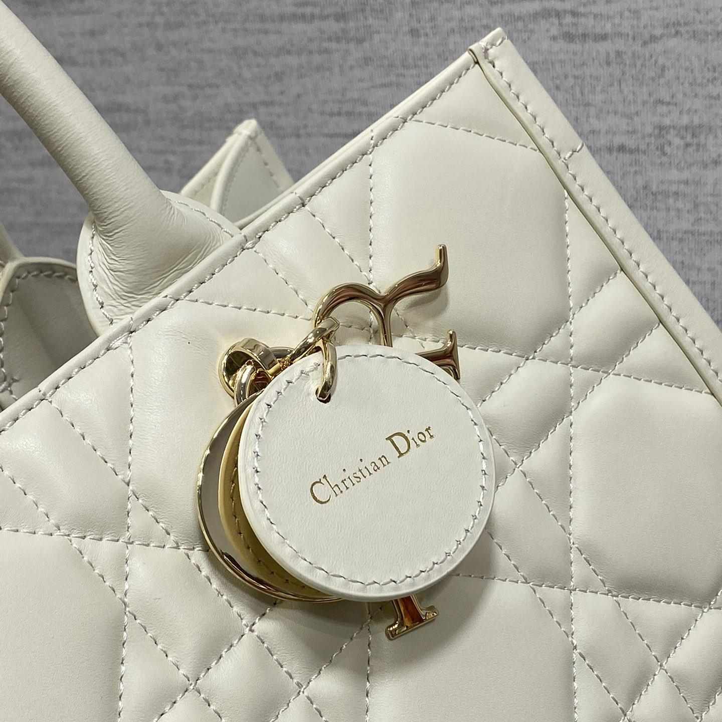 Dior Medium Dior Book Tote - PerfectKickZ