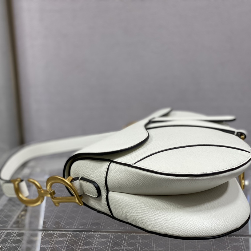 Dior Saddle Bag    25.5cm - PerfectKickZ