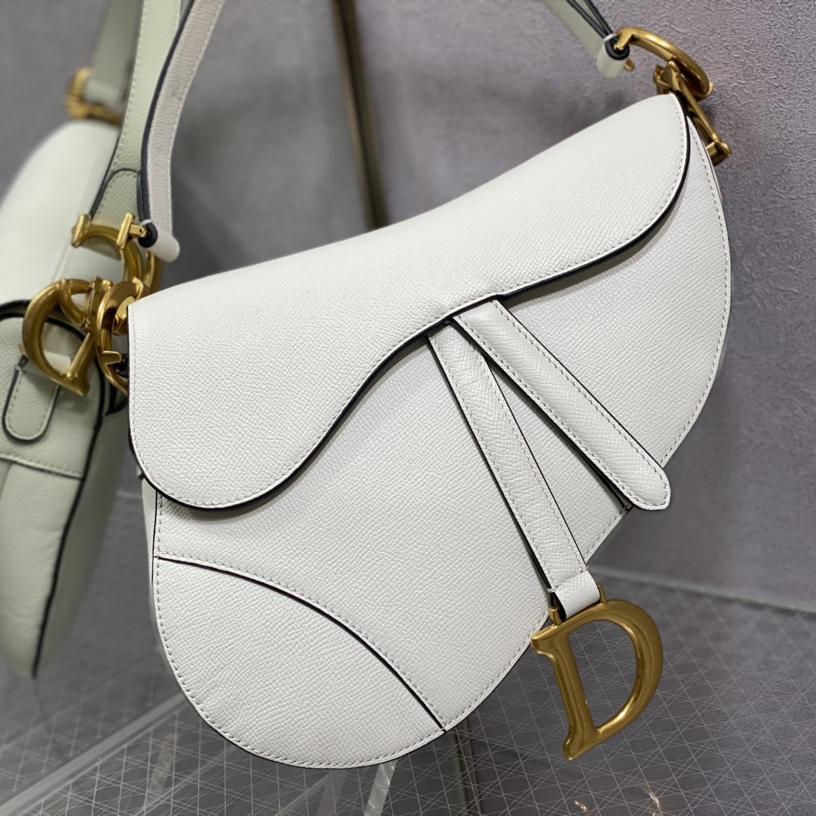 Dior Saddle Bag    25.5cm - PerfectKickZ