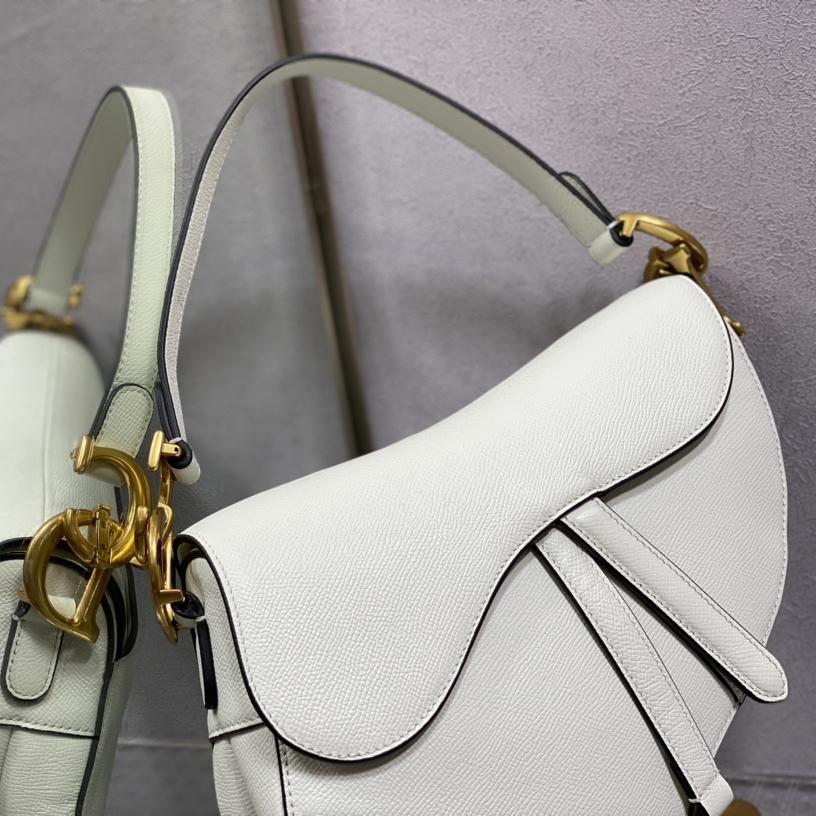 Dior Saddle Bag    25.5cm - PerfectKickZ