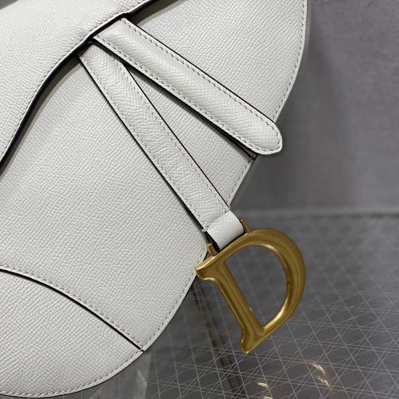 Dior Saddle Bag    25.5cm - PerfectKickZ