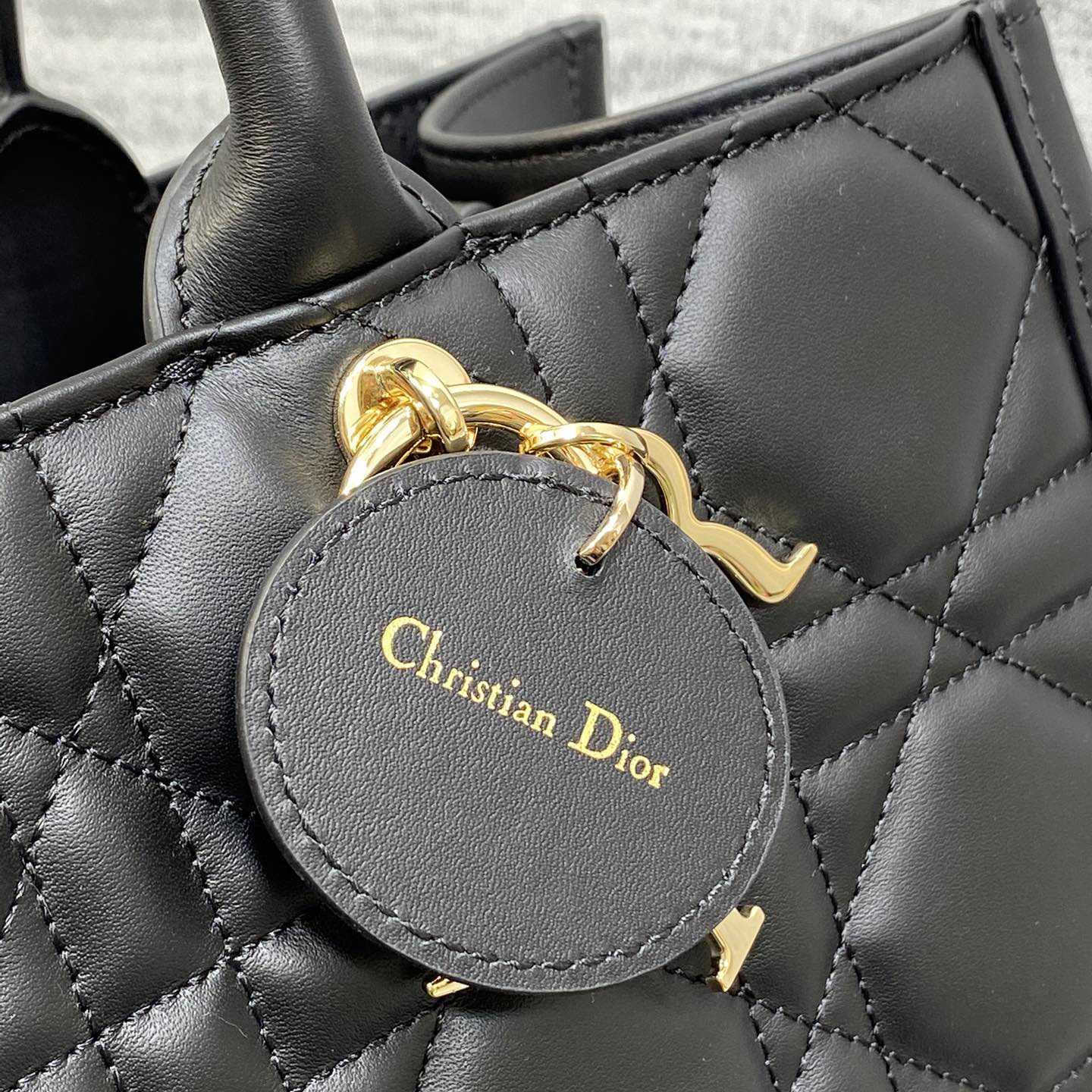 Dior Medium Dior Book Tote - PerfectKickZ