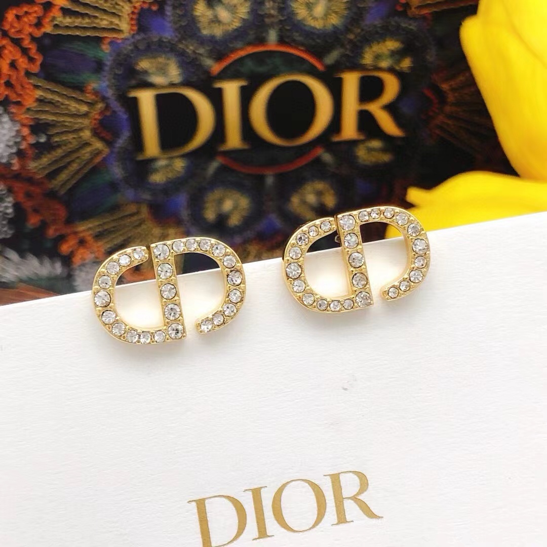 Dior Earrings - PerfectKickZ