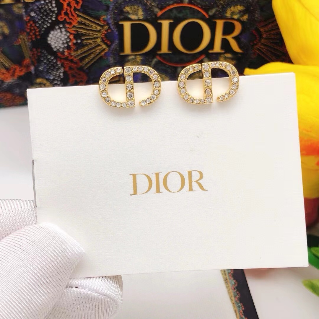 Dior Earrings - PerfectKickZ