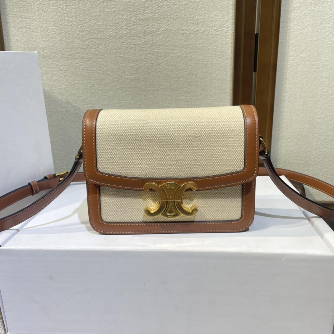 Celine Teen Triomphe Bag In Textile And Calfskin - PerfectKickZ