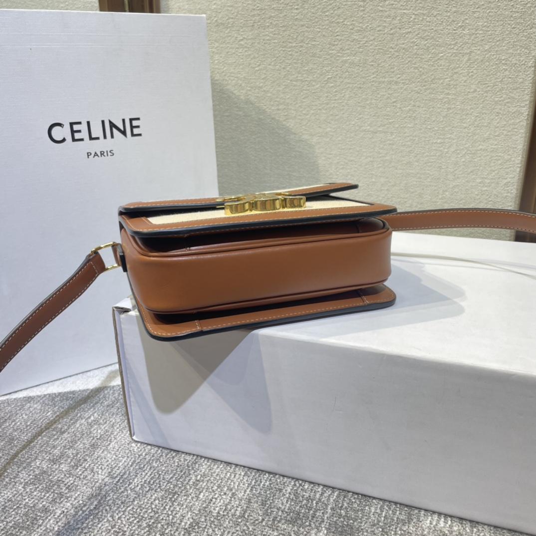 Celine Teen Triomphe Bag In Textile And Calfskin - PerfectKickZ