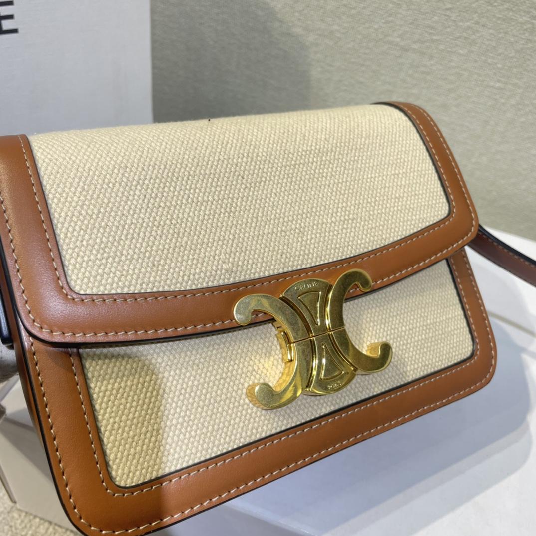 Celine Teen Triomphe Bag In Textile And Calfskin - PerfectKickZ