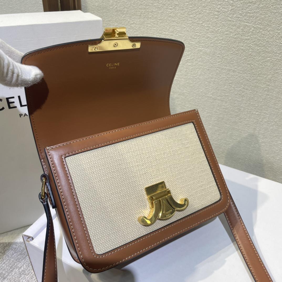 Celine Teen Triomphe Bag In Textile And Calfskin - PerfectKickZ