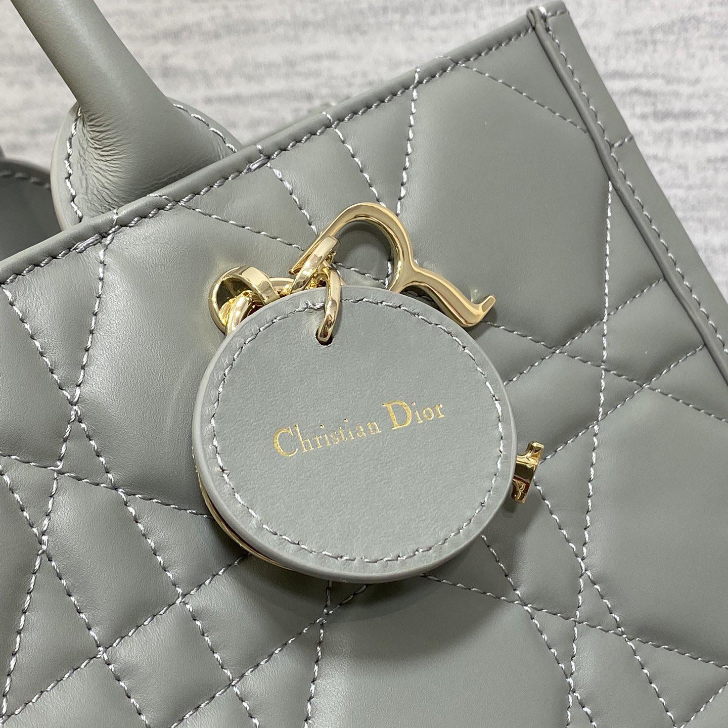 Dior Medium Dior Book Tote - PerfectKickZ